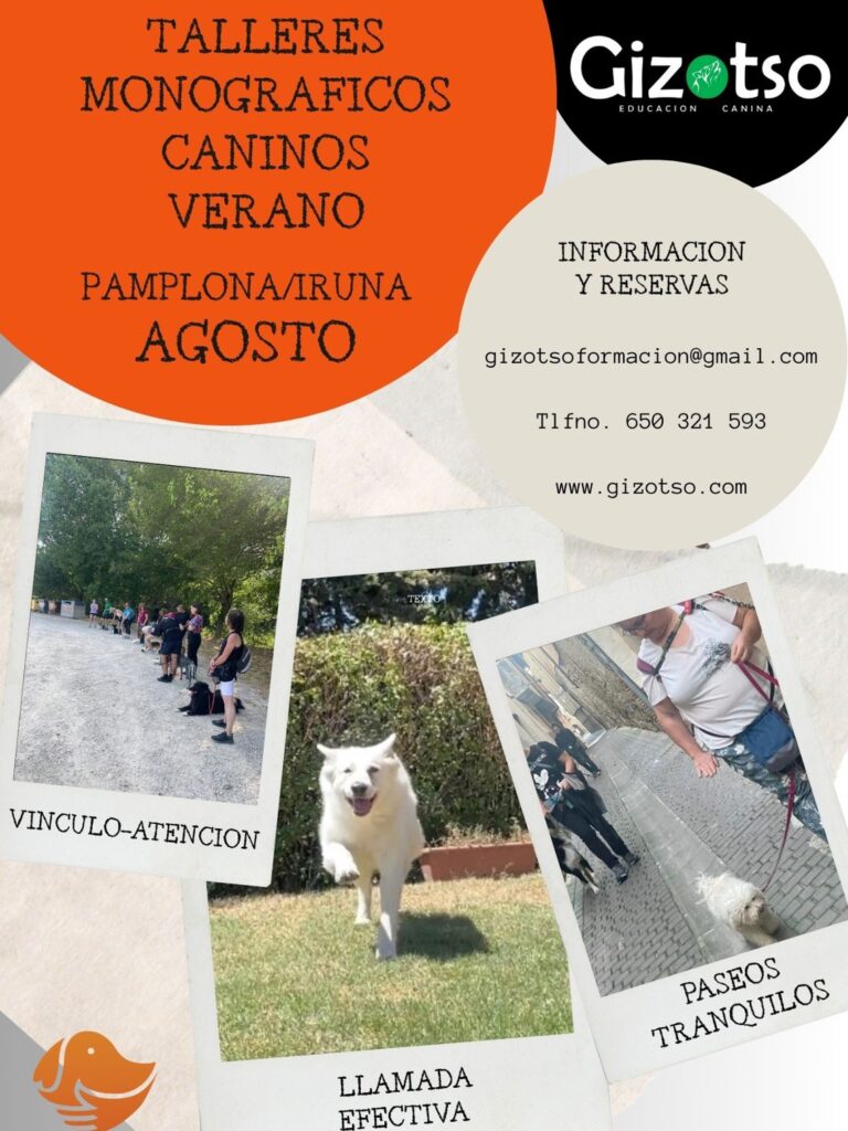 Talleres monográficos