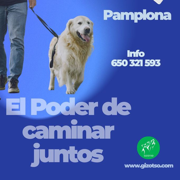 El poder de caminar juntos