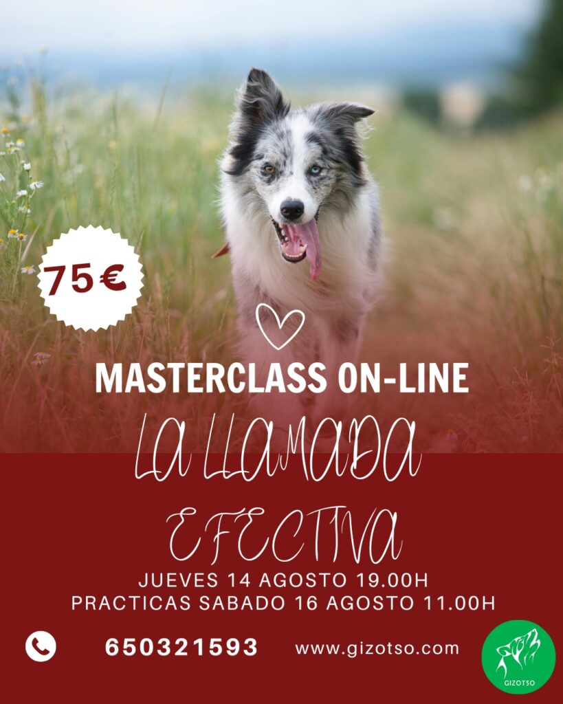 MATERCLASS. La llamada efectiva. Vinculo, atencion y respuesta.