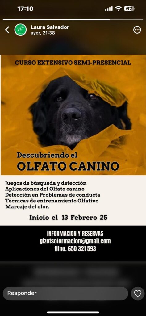 Curso en olfato canino
